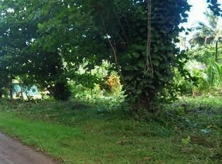 7136 Alamihi Rd LOT 121, Hanalei, HI 96714