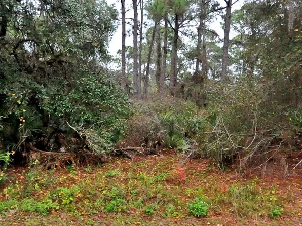 Neon Ave Lot 10, North Pt, FL 34291