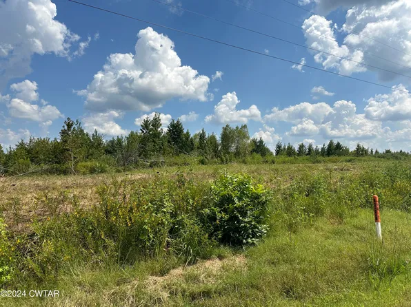 44 Newt Blackwell Rd, Humboldt, TN 38343