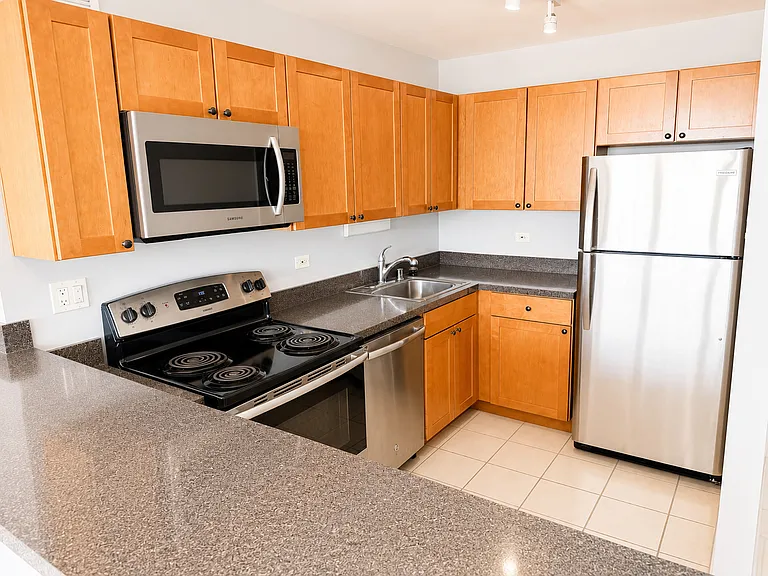 655 W Irving Park Rd #3807 — Photo 8