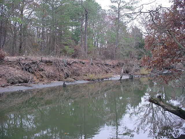 2nd image of 9 Williams Ave