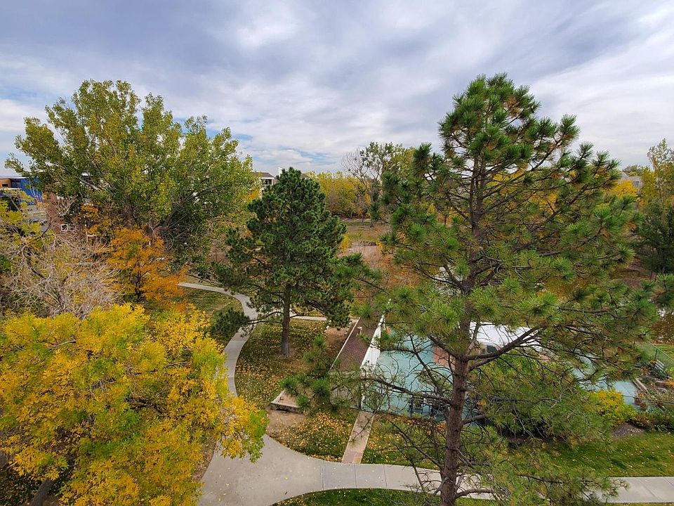 Patio view