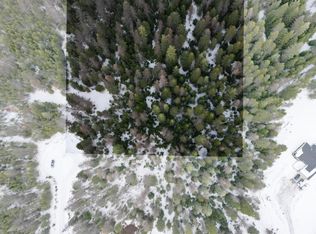 102 Falcon Ln, Newport, WA 99156