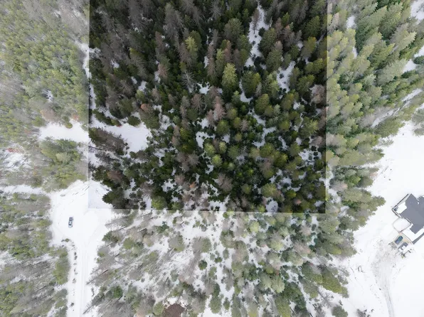 102 Falcon Ln, Newport, WA 99156