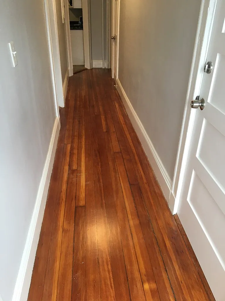 1 bed, 550 sqft, $1,900 — Photo 4