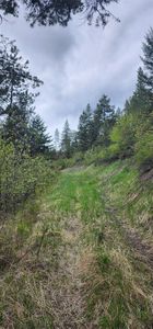 Nhn Copper Ridge Rd Lot 10, Florence, MT, 59833