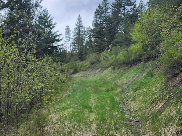Nhn Copper Ridge Rd Lot 10, Florence, MT 59833