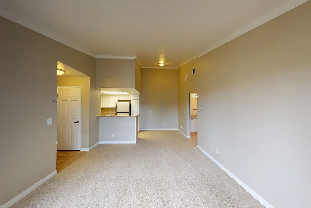 Emerald Pointe — Photo 4