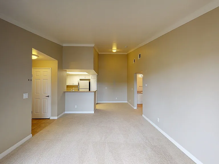 Emerald Pointe — Photo 9