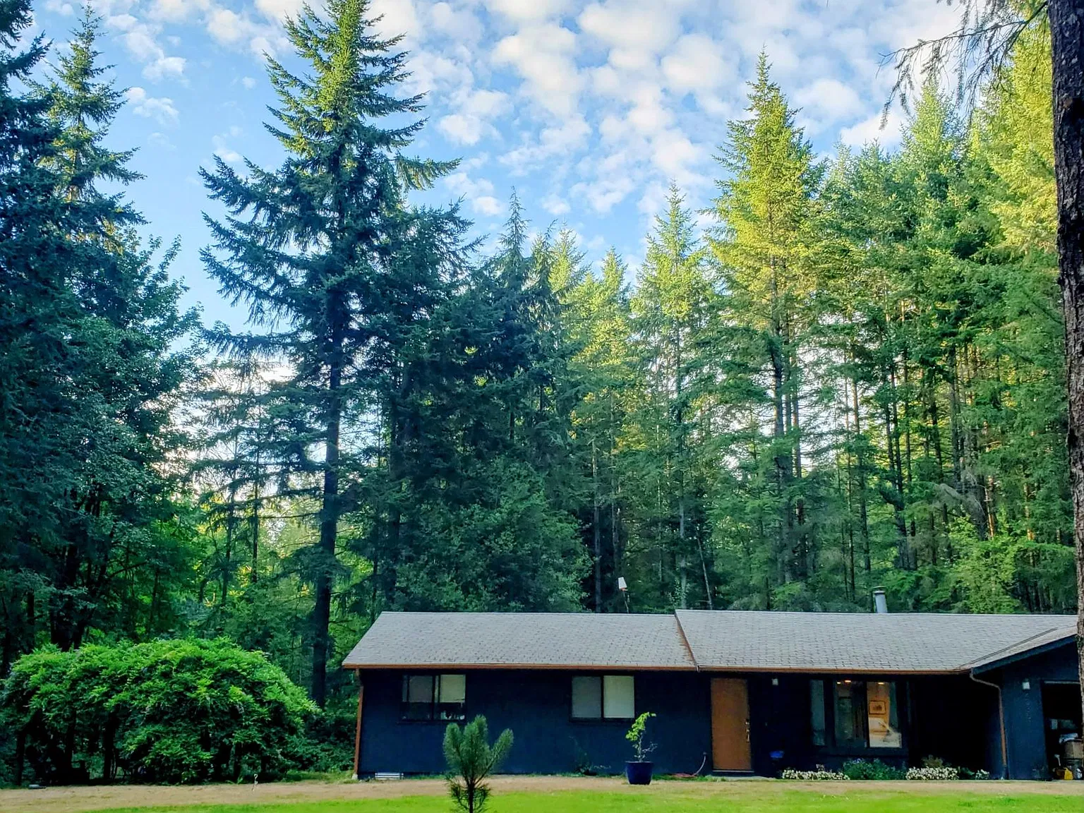 3 bed, 1850 sqft, $3,100 — Photo 2
