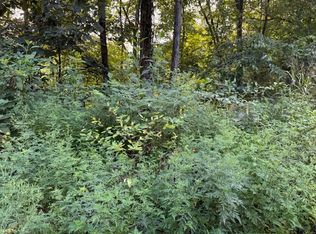 5.29 Acres Off Hwy #107S, Del Rio, TN 37727