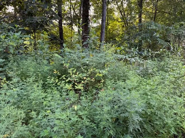 5.72 Ac Off Hwy #107S, Del Rio, TN 37727