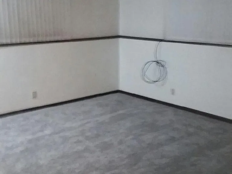 lower level living room
