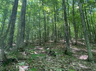 228 W Old State Rd, East Jordan, MI 49727