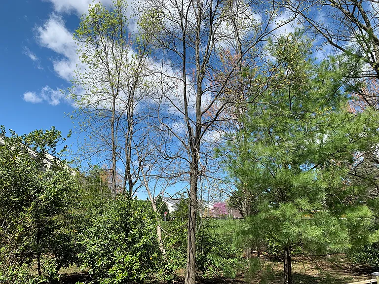 13270 Coppermill Dr — Photo 218
