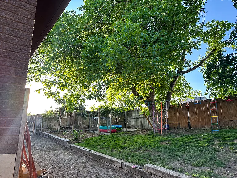 Walnut tree, apple tree, pear tree, 
blackberries, and grapes