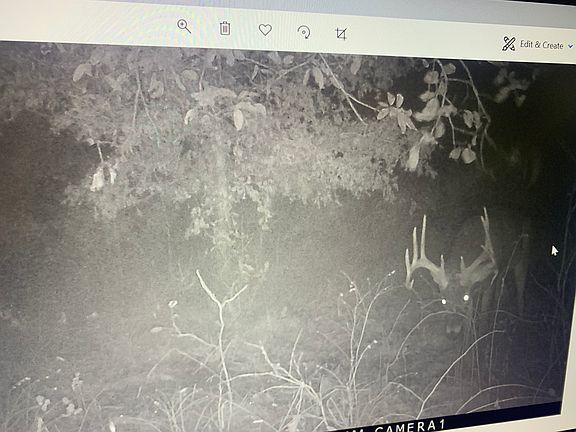 5th image of 826 NW 23 Hwy