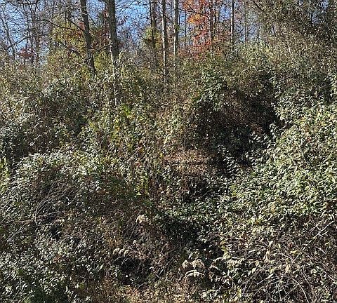 4th image of 329 Plantation Rd