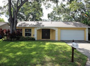 1401 Feather Run Dr, Dunedin, FL 34698