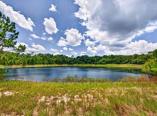 Malauka Loop Lot 15, Ocklawaha, FL 32179