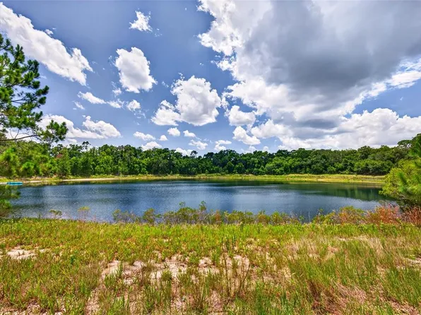 Malauka Loop Lot 15, Ocklawaha, FL 32179