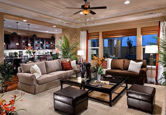 Savona Family Room