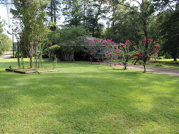 Front/Side yard view