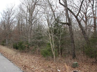 24 Sargent Pepper Dr, Flippin, AR, 72634