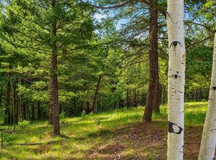 123 Ellis Lake Cir LOT 59, Divide, CO 80814