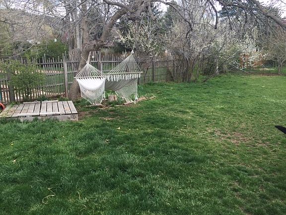 back yard