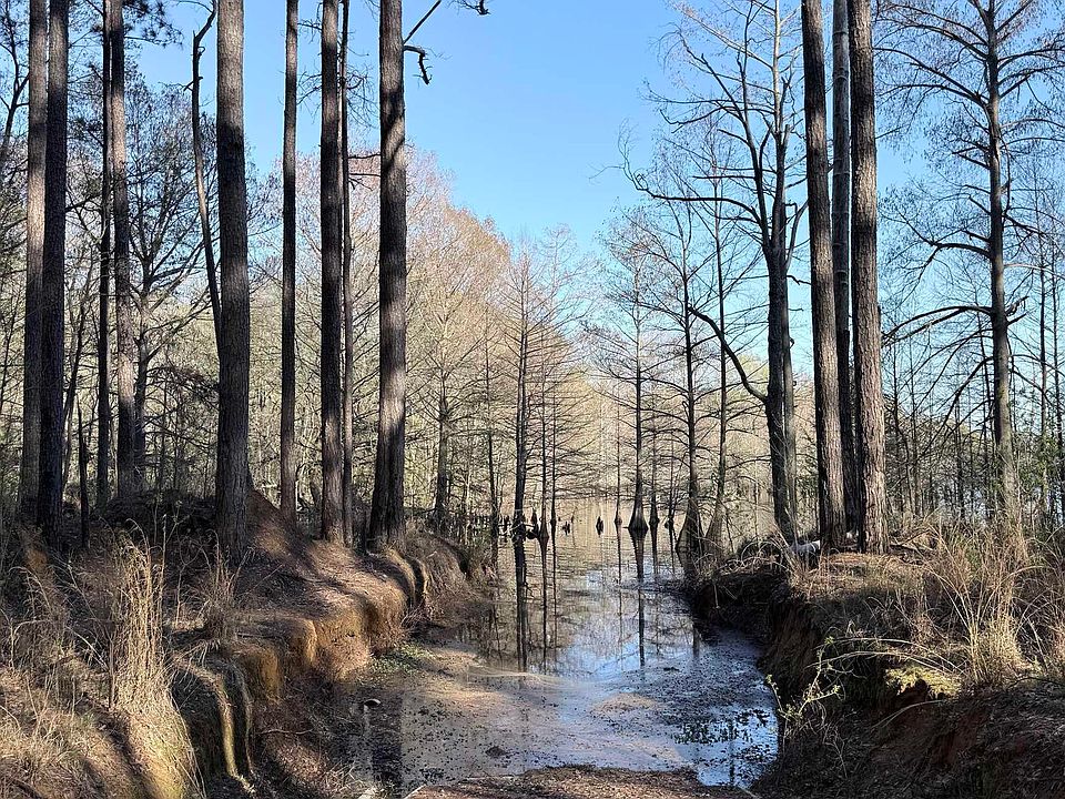 1st image of 1187 Webster Bluff Rd