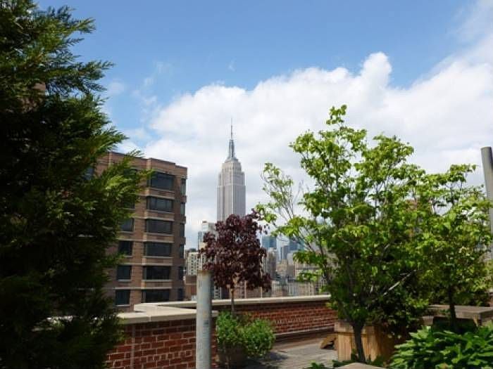 Panoramic views from Roof