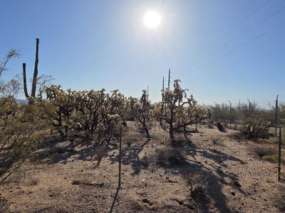 2590 N Camino Avra, Tucson, AZ, 85743