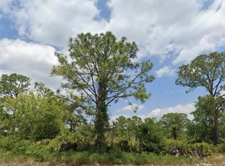 1824 Washington Blvd NW LOT 17, Lake Placid, FL 33852