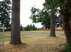 2nd image of 9917 NE 13th Ave