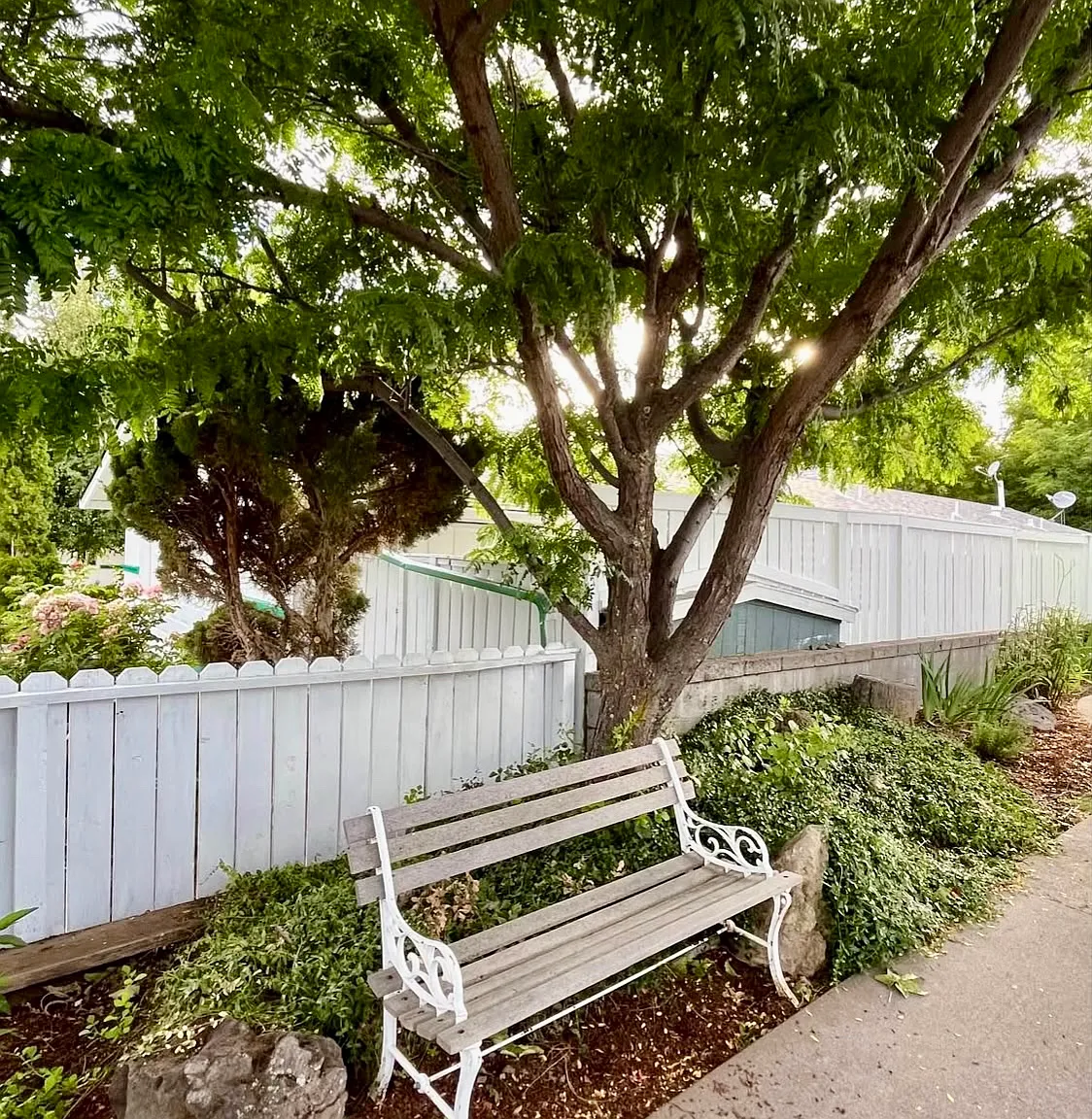 3 bed, 1100 sqft, $1,800 — Photo 3