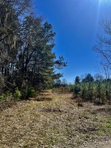 1366 Peirce Rd, Cottageville, SC, 29435