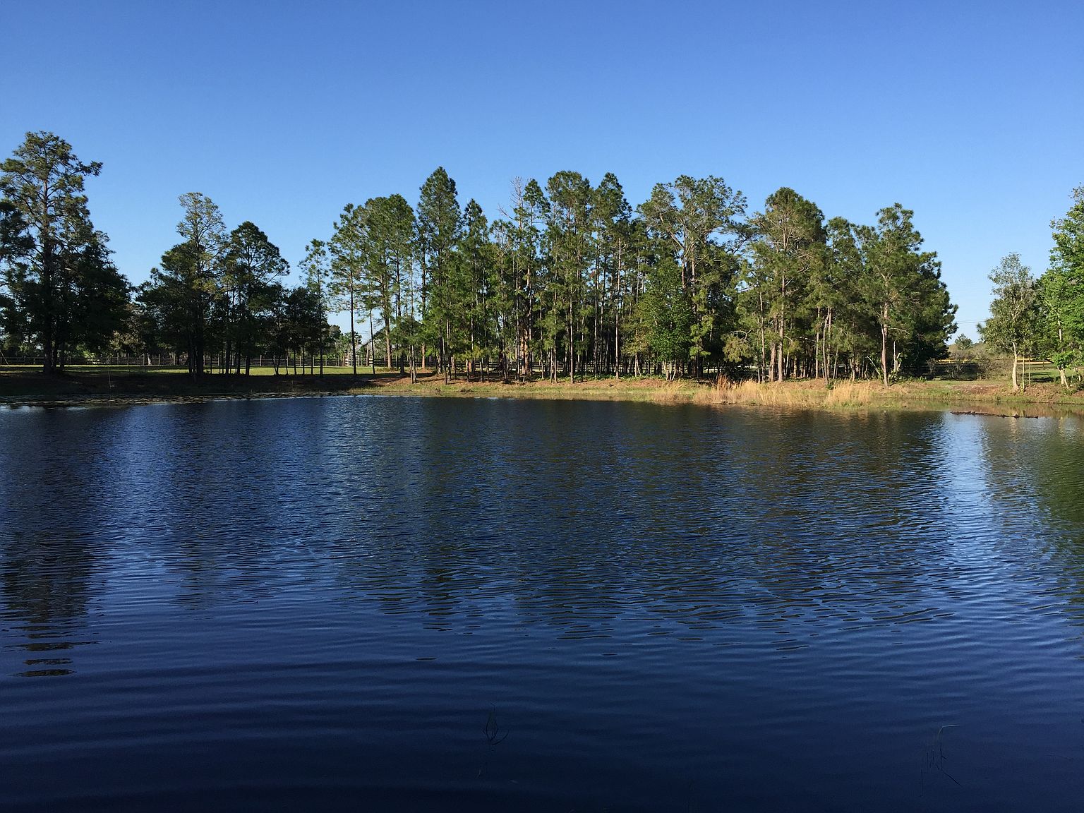 2180 Snow Hill Rd, Chuluota, FL 32766 Zillow