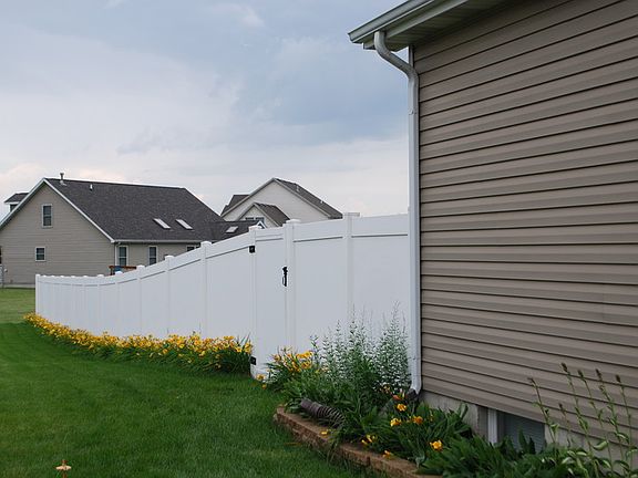 Side of house/yard : Lovely day lilies!