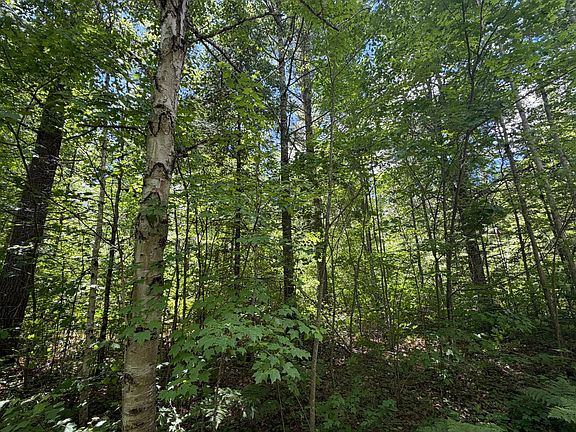 4th image of LOT 2 Maplestone Rd