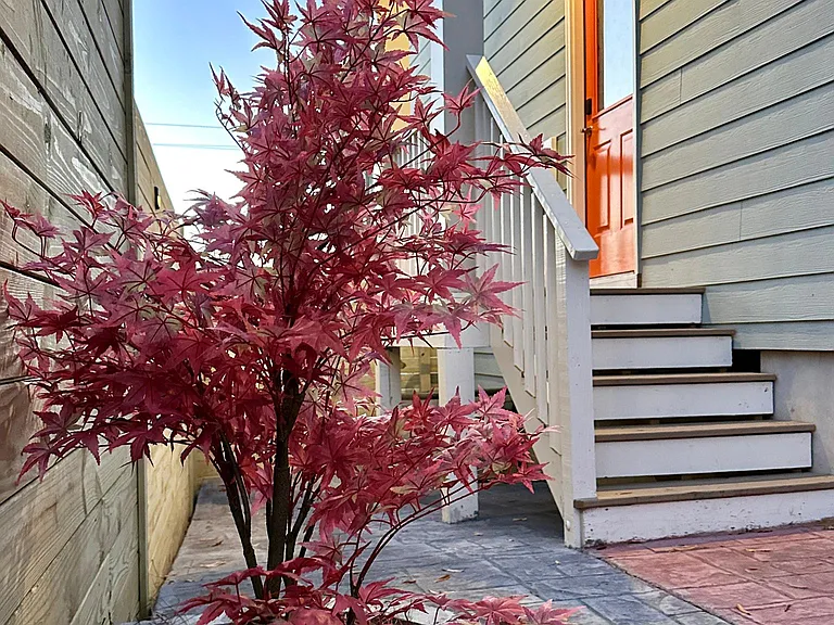 701B Grant St — Photo 6