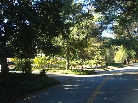 4th image of 462 Deodara Dr