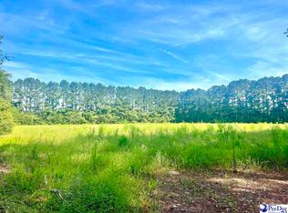 Tbd Pamplico Hwy, Pamplico, SC 29583