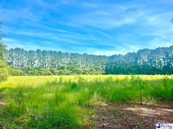 Tbd Pamplico Hwy, Pamplico, SC 29583