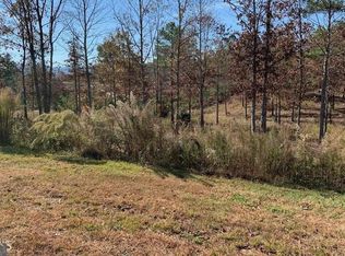 52 Northshore Dr, Blairsville, GA 30512