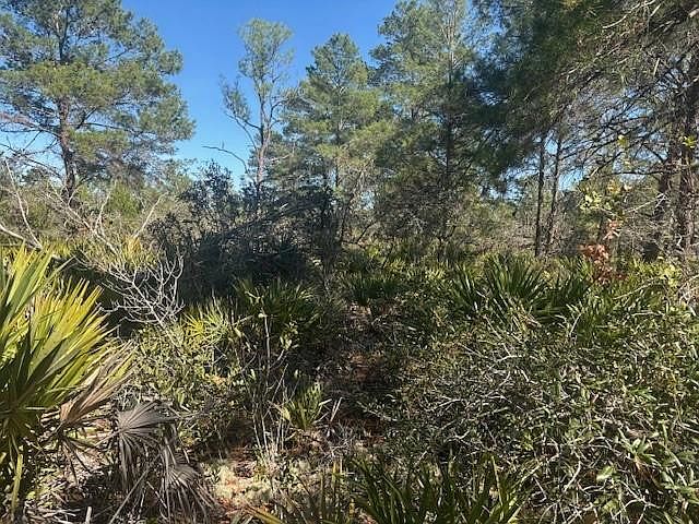 2nd image of 10681 Interlacher Drive