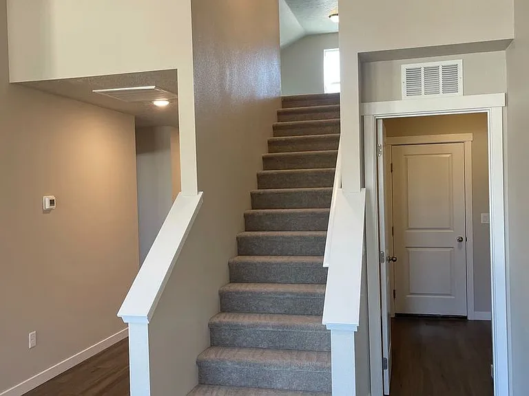 10371 Longtail Dr — Photo 15