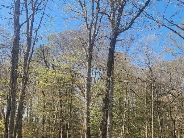 Tower Rd, Brandywine, MD 20613