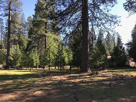 5th image of 5308 Blue Mountain Dr