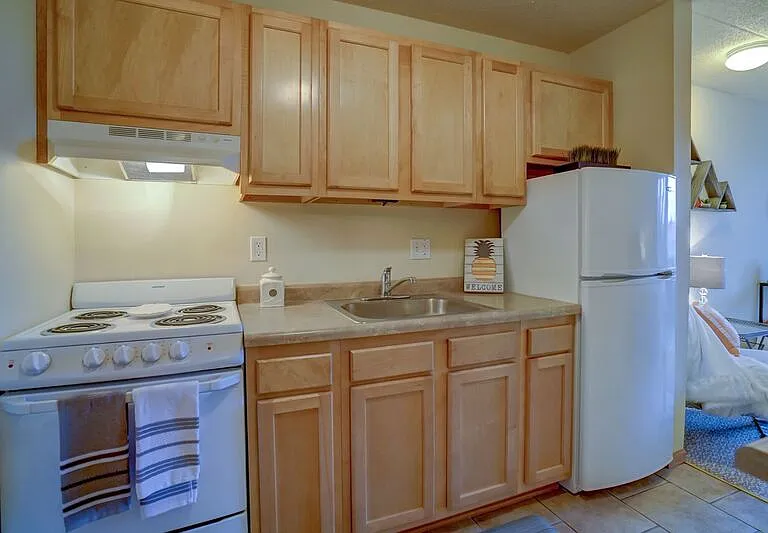 Updated Studio- Kitchen